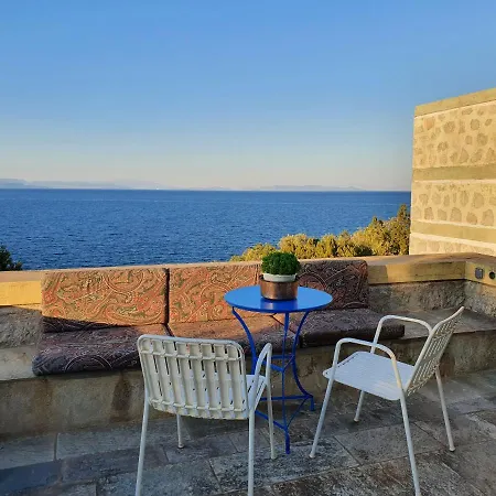 Oly & Nikiforo's House *